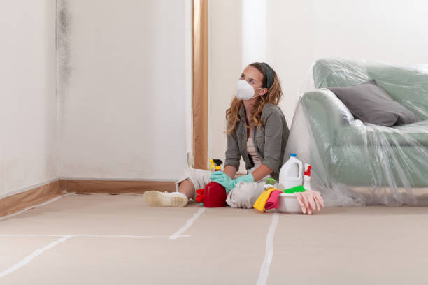 Trusted Black Mold Removal service in Bryantown, MD - WQB Mold Removal